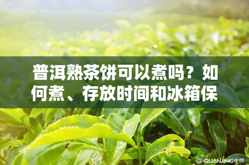 普洱熟茶饼可以煮吗？如何煮、存放时间和冰箱保存方法全解析