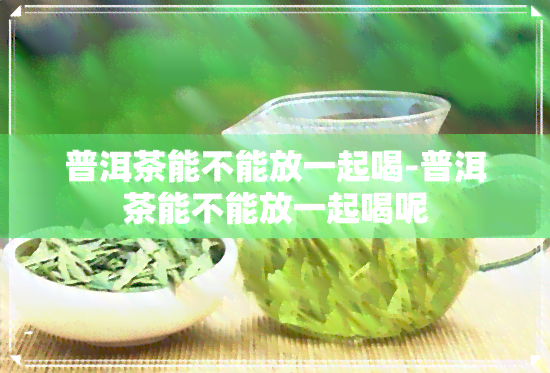 普洱茶能不能放一起喝-普洱茶能不能放一起喝呢