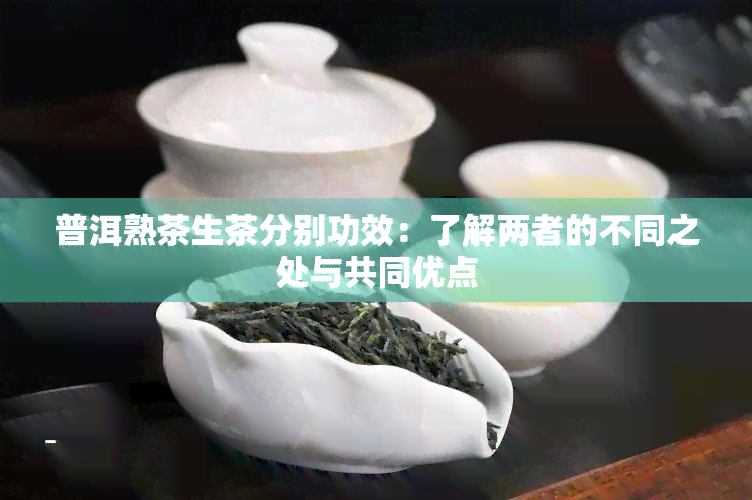 普洱熟茶生茶分别功效：了解两者的不同之处与共同优点