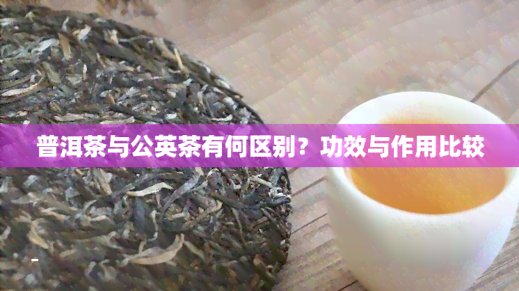 普洱茶与公英茶有何区别？功效与作用比较