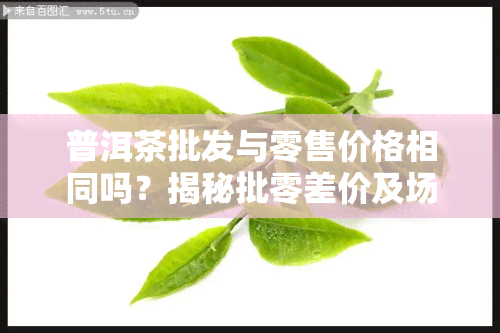 普洱茶批发与零售价格相同吗？揭秘批零差价及场情况