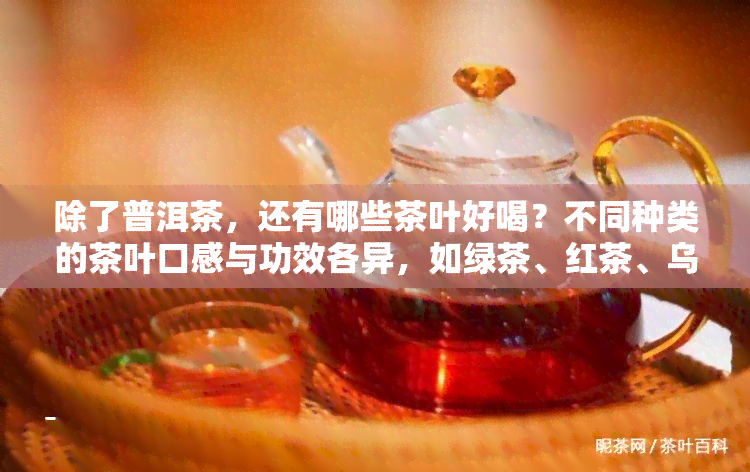 除了普洱茶，还有哪些茶叶好喝？不同种类的茶叶口感与功效各异，如绿茶、红茶、乌龙茶等。除了茶饼，普洱茶还有散茶和沱茶等形式，而何种茶叶适合长期存则需根据其保存条件和特点来定。