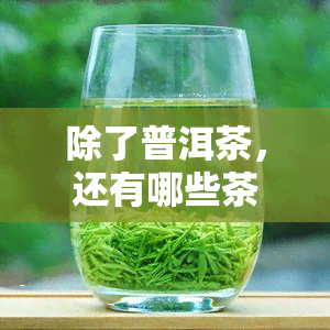 除了普洱茶，还有哪些茶适合长期存并可泡饮？