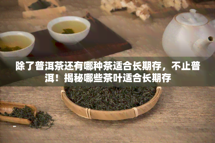 除了普洱茶还有哪种茶适合长期存，不止普洱！揭秘哪些茶叶适合长期存