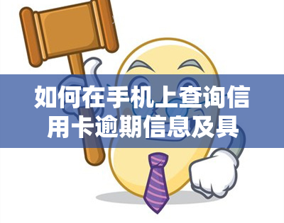 如何在手机上查询信用卡逾期信息及具体时间？