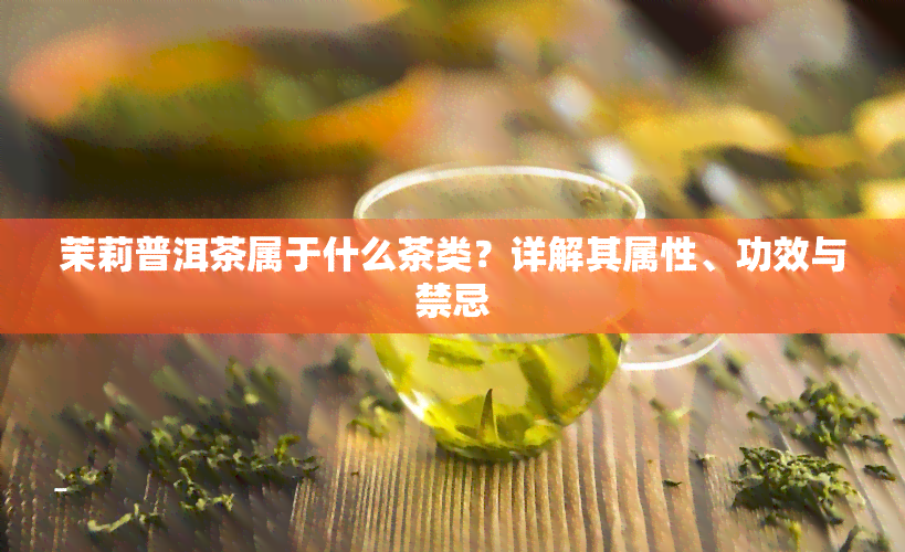 茉莉普洱茶属于什么茶类？详解其属性、功效与禁忌