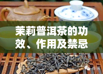 茉莉普洱茶的功效、作用及禁忌全解析