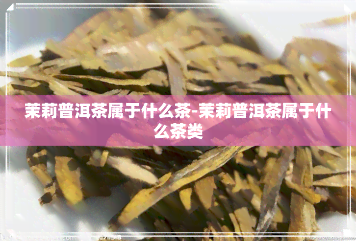 茉莉普洱茶属于什么茶-茉莉普洱茶属于什么茶类