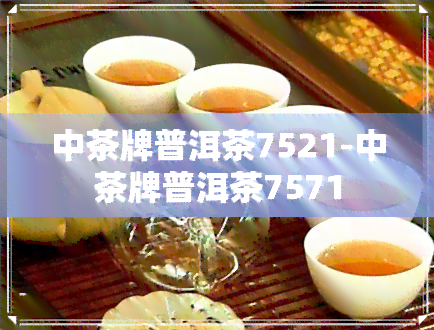 中茶牌普洱茶7521-中茶牌普洱茶7571