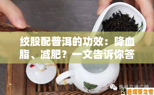 绞股配普洱的功效：降血脂、减肥？一文告诉你答案