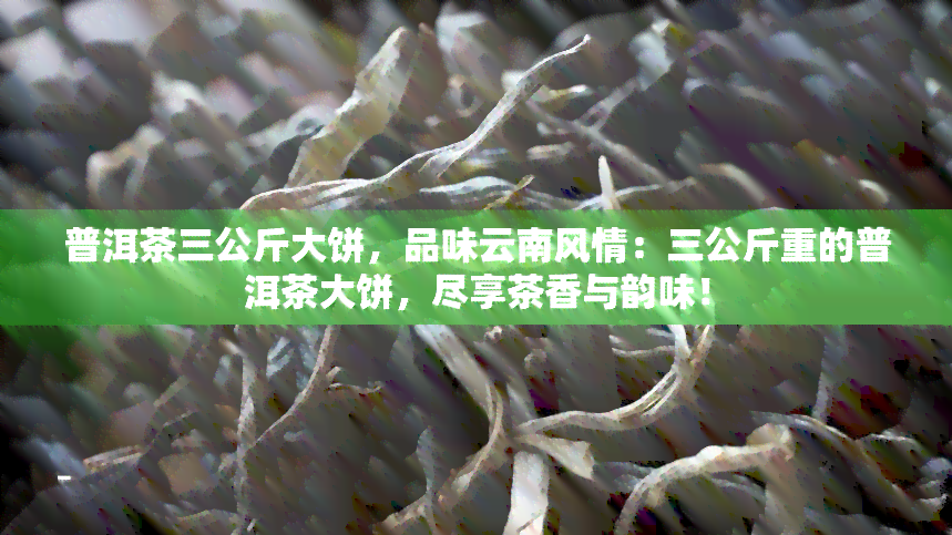 普洱茶三公斤大饼，品味云南风情：三公斤重的普洱茶大饼，尽享茶香与韵味！