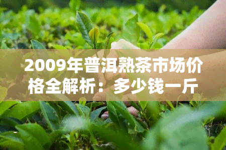 2009年普洱熟茶市场价格全解析：多少钱一斤/瓶/盒？现值多少？