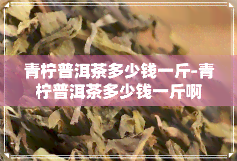 青柠普洱茶多少钱一斤-青柠普洱茶多少钱一斤啊