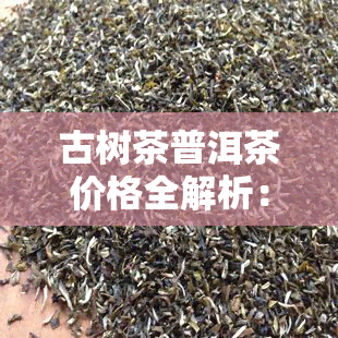 古树茶普洱茶价格全解析：冰岛古树茶、普洱茶古树茶价格一览表与高清图片