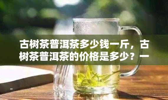 古树茶普洱茶多少钱一斤，古树茶普洱茶的价格是多少？一斤要多少钱？