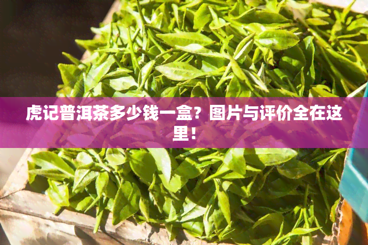 虎记普洱茶多少钱一盒？图片与评价全在这里！