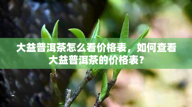 大益普洱茶怎么看价格表，如何查看大益普洱茶的价格表？