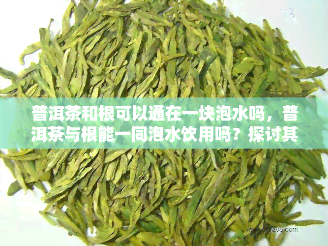 普洱茶和根可以通在一块泡水吗，普洱茶与根能一同泡水饮用吗？探讨其功效与禁忌