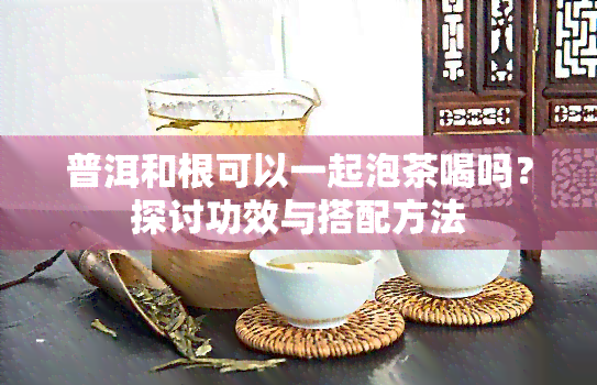 普洱和根可以一起泡茶喝吗？探讨功效与搭配方法