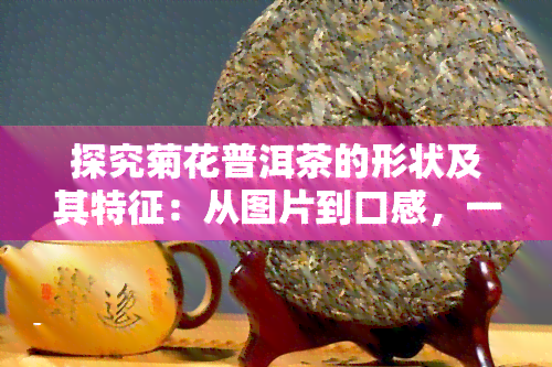 探究菊花普洱茶的形状及其特征：从图片到口感，一探究竟