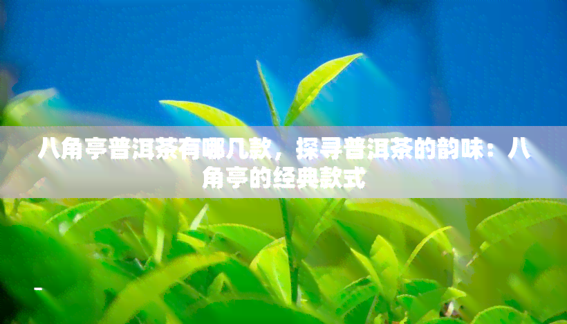 八角亭普洱茶有哪几款，探寻普洱茶的韵味：八角亭的经典款式