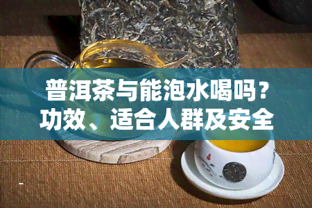 普洱茶与能泡水喝吗？功效、适合人群及安全性的探讨