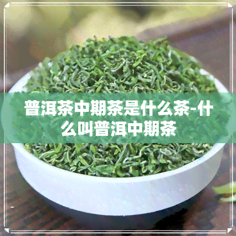 普洱茶中期茶是什么茶-什么叫普洱中期茶