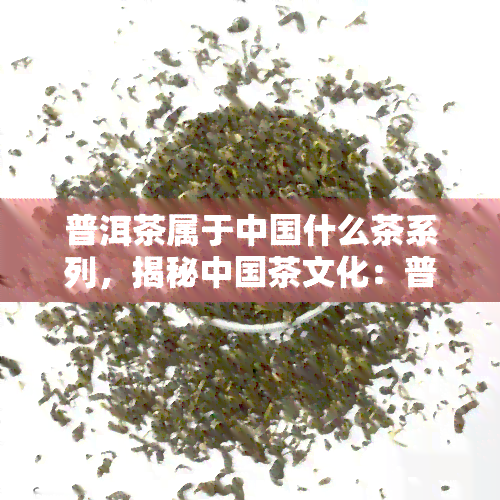 普洱茶属于中国什么茶系列，揭秘中国茶文化：普洱茶属于哪个茶系？