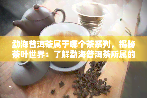 勐海普洱茶属于哪个茶系列，揭秘茶叶世界：了解勐海普洱茶所属的茶系