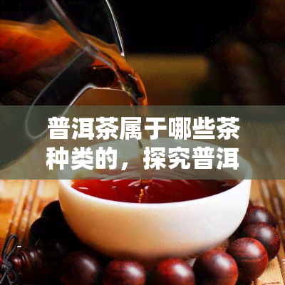 普洱茶属于哪些茶种类的，探究普洱茶：它属于哪种类型的茶叶？