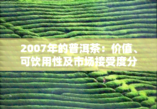 2007年的普洱茶：价值、可饮用性及市场接受度分析