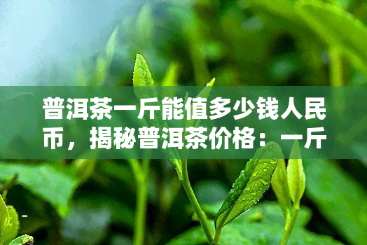 普洱茶一斤能值多少钱人民币，揭秘普洱茶价格：一斤能值多少人民币？