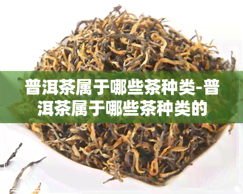 普洱茶属于哪些茶种类-普洱茶属于哪些茶种类的