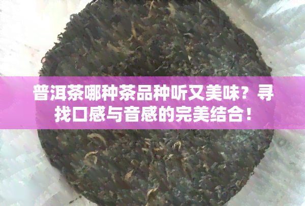 普洱茶哪种茶品种听又美味？寻找口感与音感的完美结合！