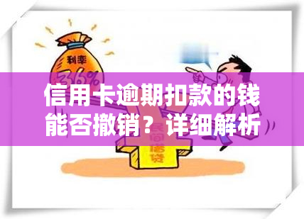 信用卡逾期扣款的钱能否撤销？详细解析逾期费用、还款及滞纳金