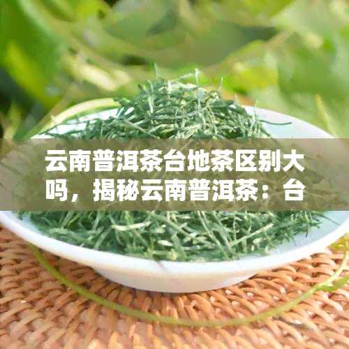 云南普洱茶台地茶区别大吗，揭秘云南普洱茶：台地茶与非台地茶的区别大吗？