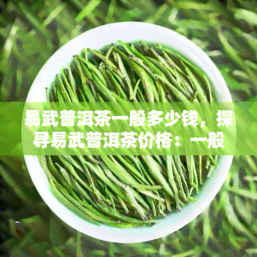 易武普洱茶一般多少钱，探寻易武普洱茶价格：一般需要多少？