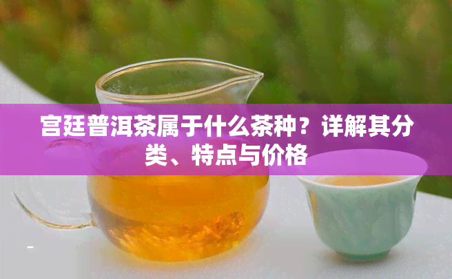 宫廷普洱茶属于什么茶种？详解其分类、特点与价格