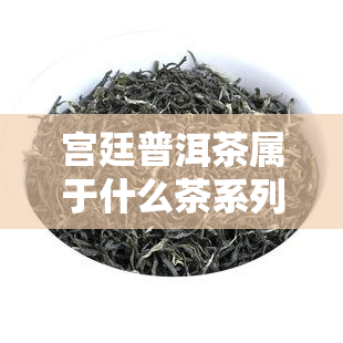 宫廷普洱茶属于什么茶系列，揭秘宫廷普洱茶：它属于哪个茶系？