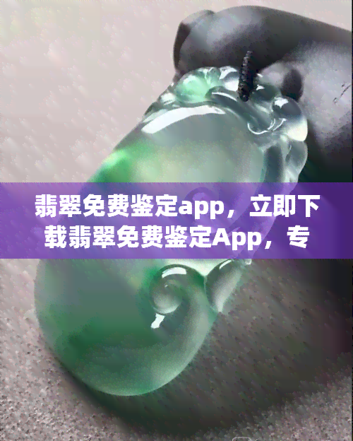 翡翠免费鉴定app，立即下载翡翠免费鉴定App，专业权威鉴定无需花费一分钱！