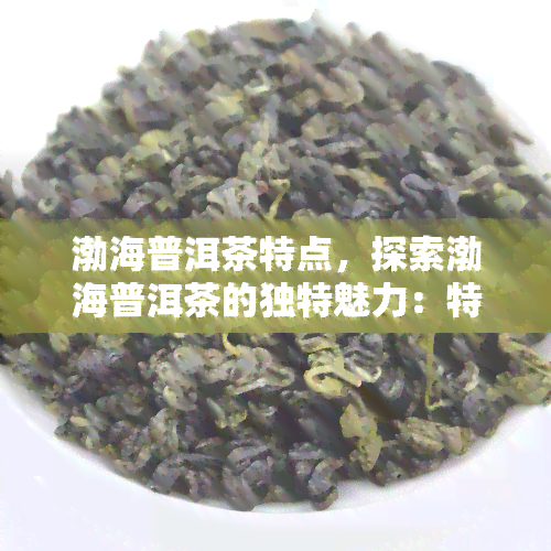 渤海普洱茶特点，探索渤海普洱茶的独特魅力：特点解析与品鉴指南