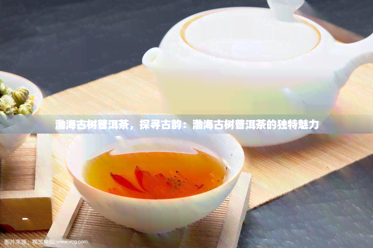 渤海古树普洱茶，探寻古韵：渤海古树普洱茶的独特魅力