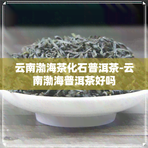 云南渤海茶化石普洱茶-云南渤海普洱茶好吗