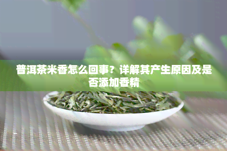 普洱茶米香怎么回事？详解其产生原因及是否添加香精