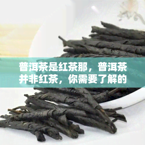 普洱茶是红茶那，普洱茶并非红茶，你需要了解的关于普洱茶的基本知识