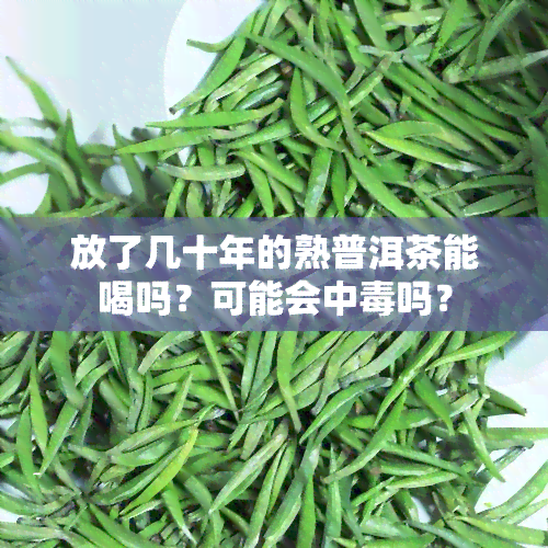 放了几十年的熟普洱茶能喝吗？可能会中吗？