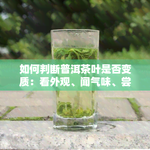 如何判断普洱茶叶是否变质：看外观、闻气味、尝口感，若出现霉斑、异味或苦涩味，可能已变质。