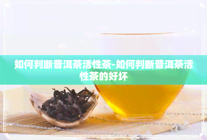 如何判断普洱茶活性茶-如何判断普洱茶活性茶的好坏