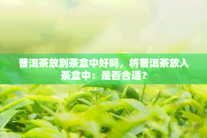 普洱茶放到茶盒中好吗，将普洱茶放入茶盒中：是否合适？