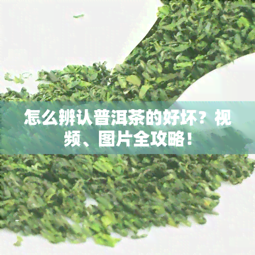 怎么辨认普洱茶的好坏？视频、图片全攻略！